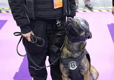 クローン化された警察犬を取得しているロットの万博で注意